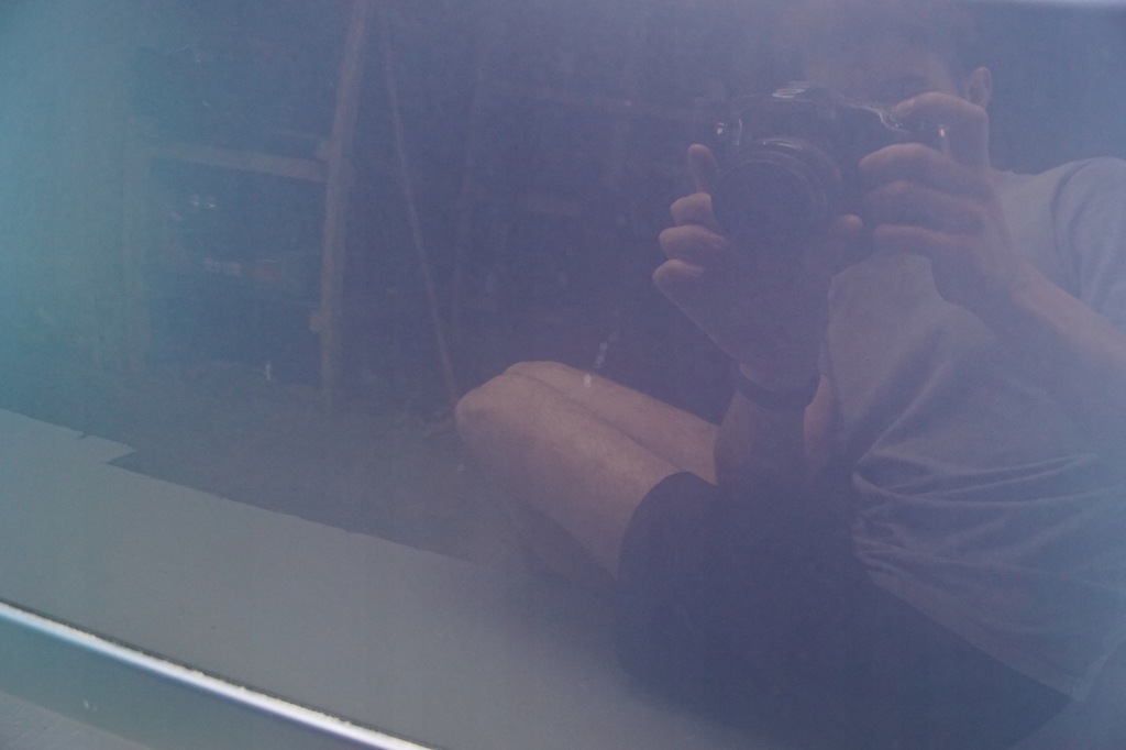 фото №12, Двері правий перед renault modus lift ternl