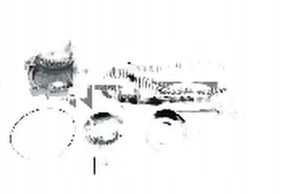 Купити Набір розподільного валу + насос водяна kdp486.000 snr