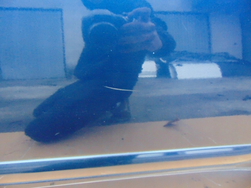 фото №10, Дверь левый задняя kia magentis ii 2005- цвет 6k