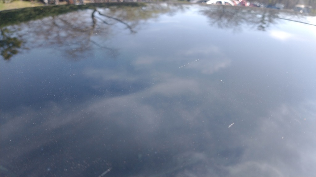 фото №14, Tesla model 3 чверть ліва права задня задня дах панорама