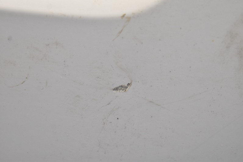 фото №9, Дверь правое задняя задние белый dacia sandero lift 12-20