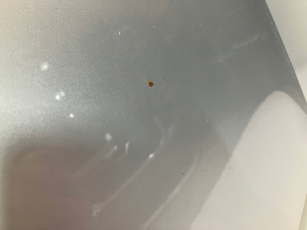 фото №6, Капот skoda octavia 3 iii la7w