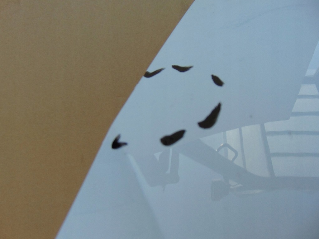 фото №9, Крила лівий перед skoda octavia iv 5e3821105