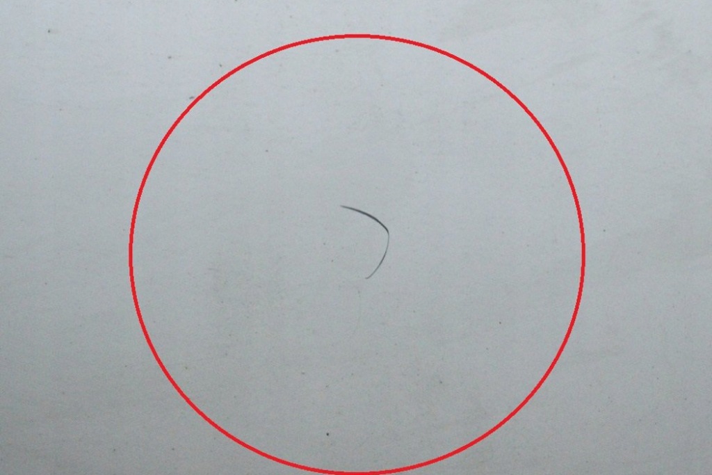 фото №8, Toyota hilux n140 pick-up 2.5 d-4d задні праве двері 67003-35070 75kw 2003