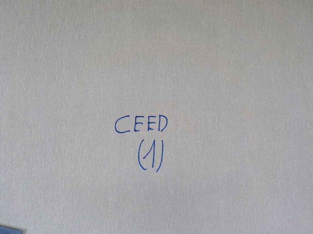 фото №6, Kia ceed 18- потолок