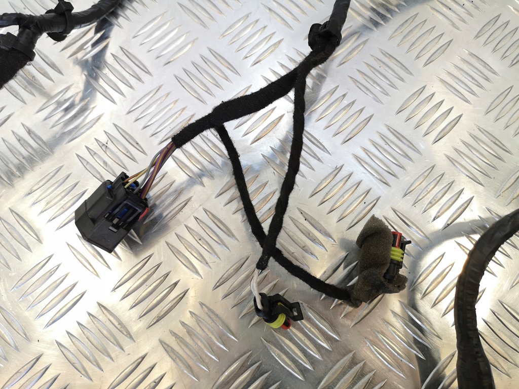 фото №5, Джгут двері лівий задня maserati quattroporte vi