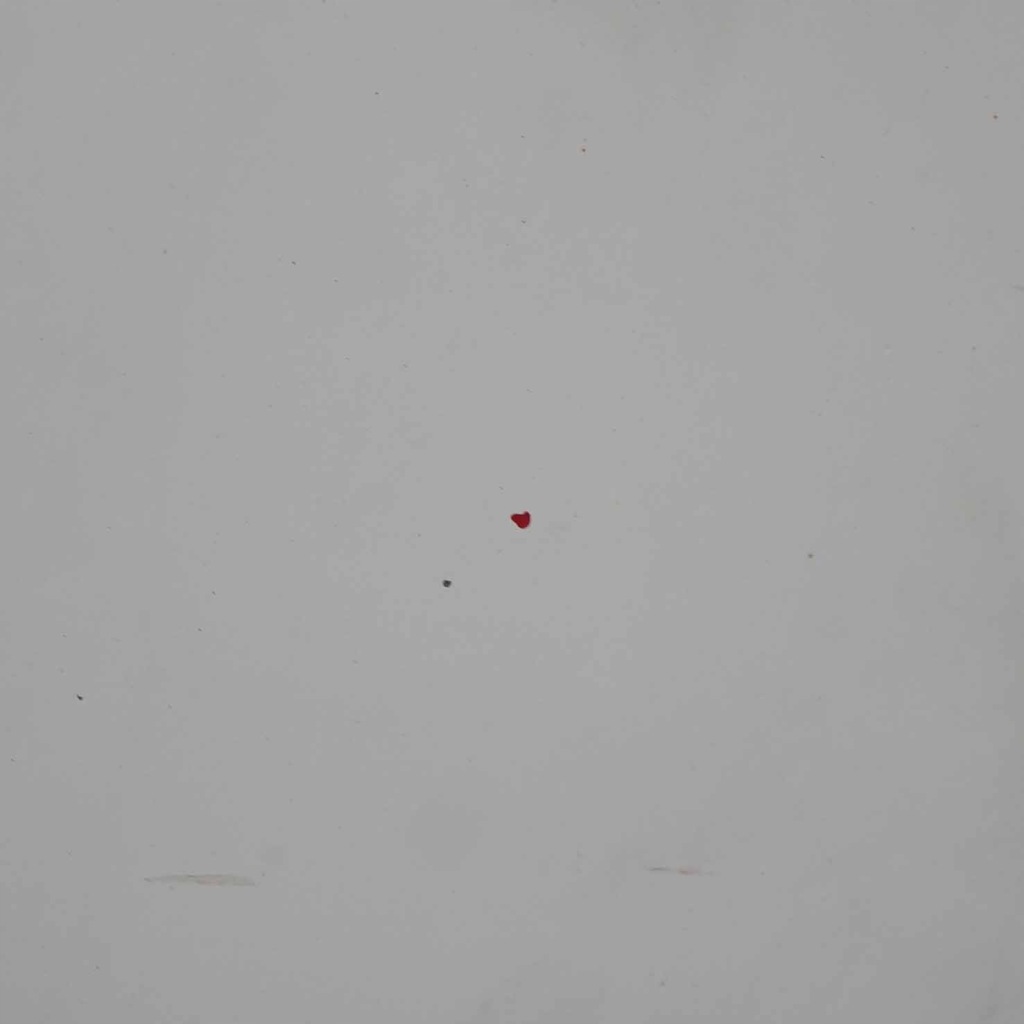 Ford transit капот крышка двигателя frozen white z2 Оригинал