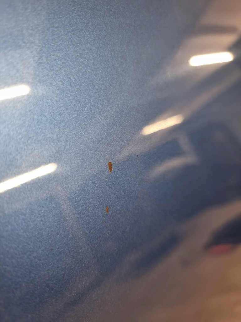 фото №10, Bmw 1 f20 f21 2013 кришка передня / капот двигуна