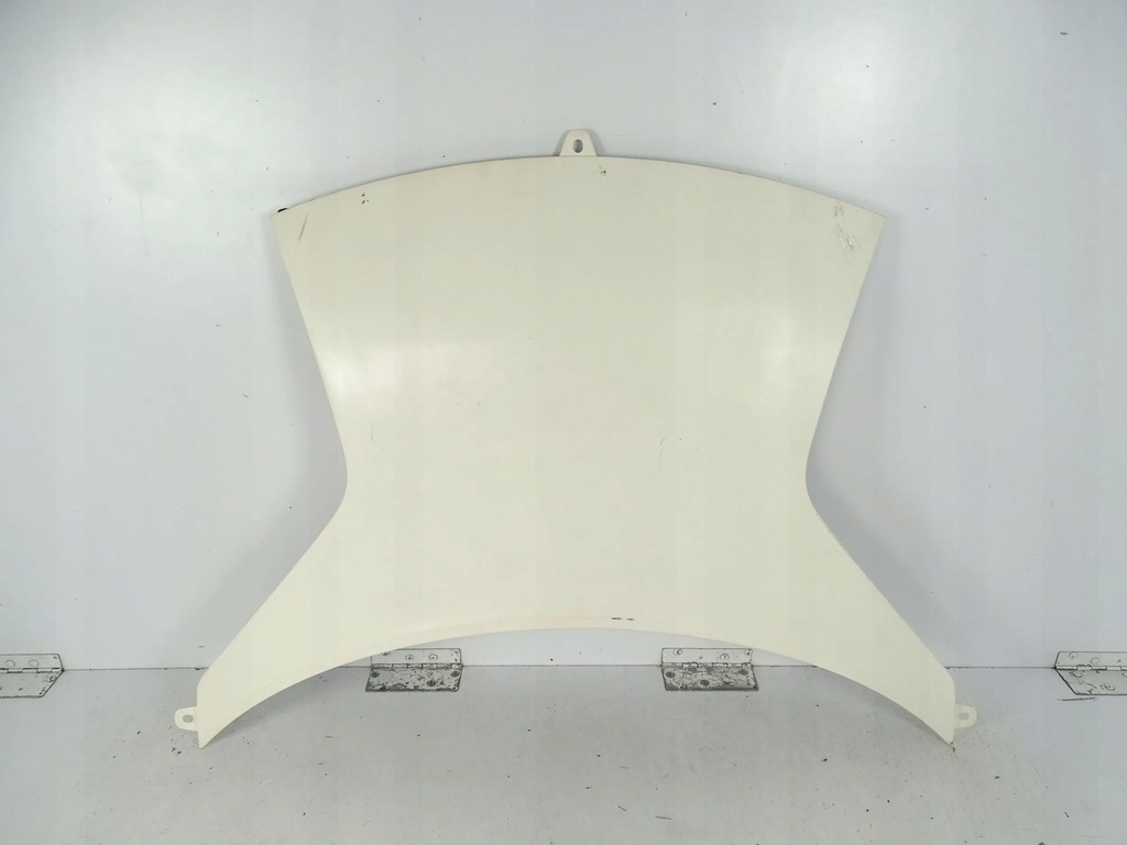 фото №1, Капот lotus evija