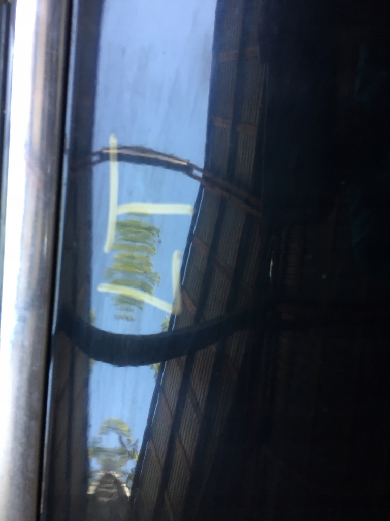 фото №10, Audi q7 4l двері ліва задні лівий задня lz9y