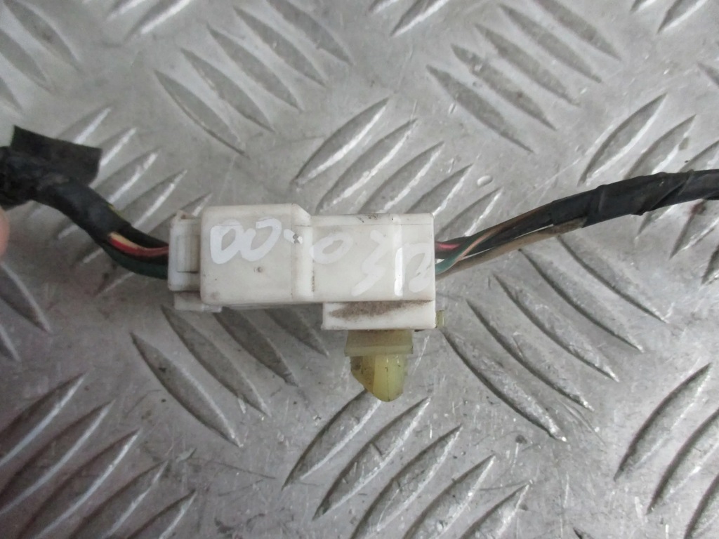 фото №6, Вкладыш лампы задняя hyundai santa fe 00-04