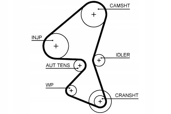 фото №2, Gates 5656xs ремень распределительного вала