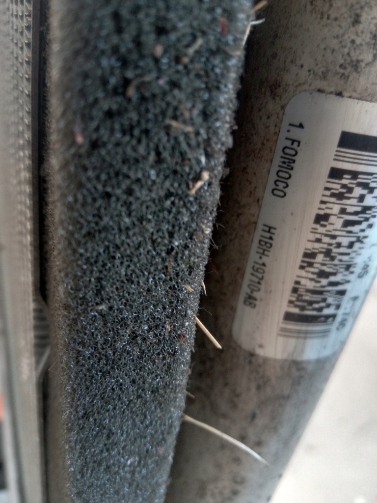 фото №4, Ford fiesta mk8 радиатор радиатор 1.0 eb