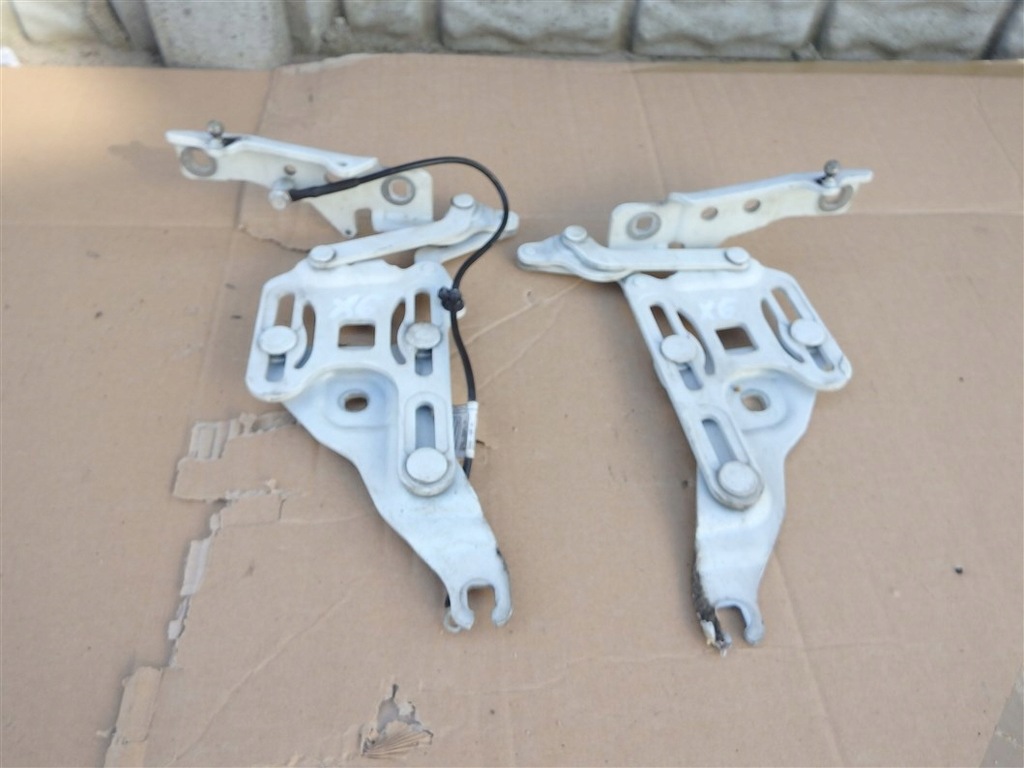 фото №1, Bmw x6 e71 петля капот лівий правий