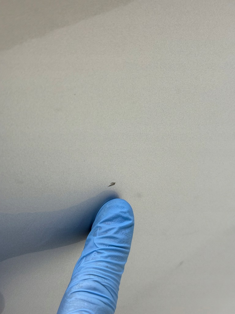 фото №12, Audi a6 s6 c7 двері праве правий перед lx7w сріблястий idealne |wysyłka!