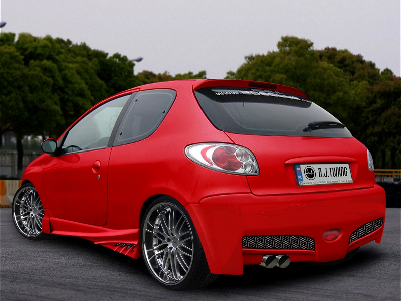 фото №4, Peugeot 206 пороги radical dj-tuning