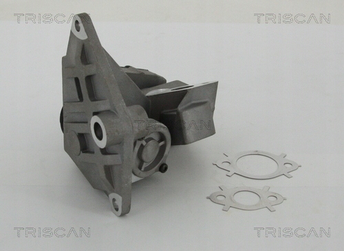 Клапани egr triscan 8813 29047 Ціна