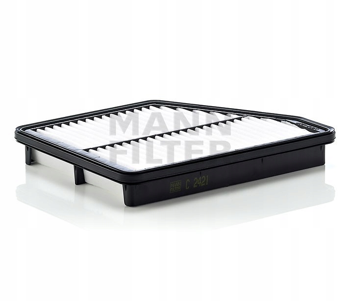 фото №1, Mann фільтр повітря c2421