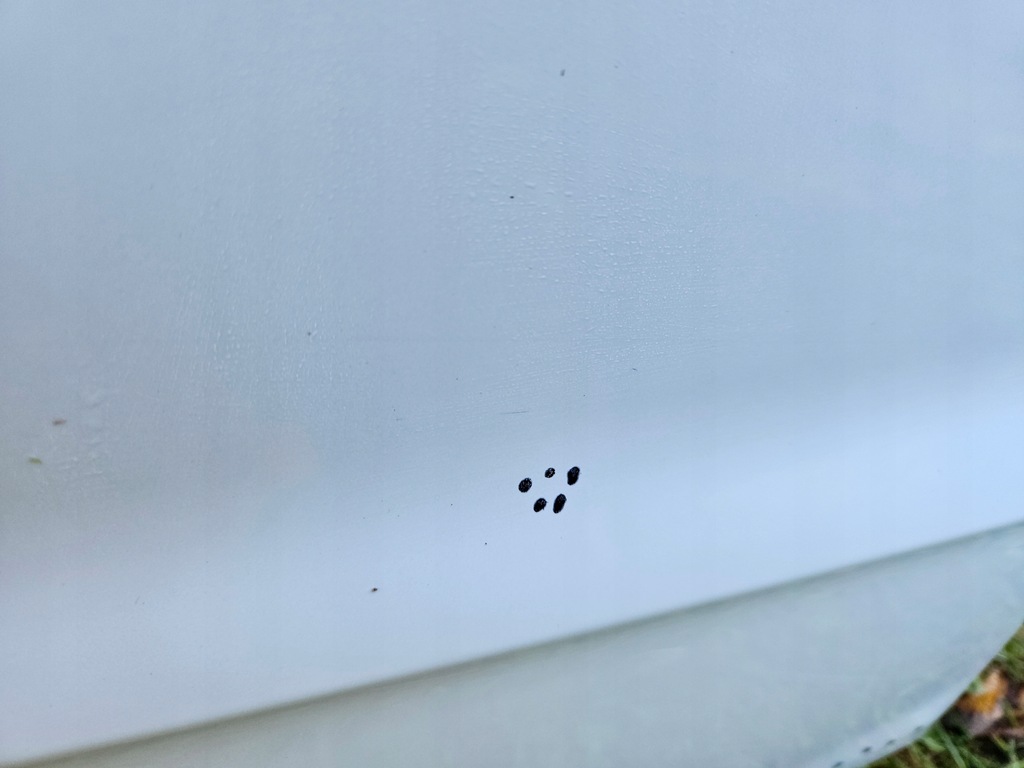 фото №6, Двері правий задня audi a3 8v sportback