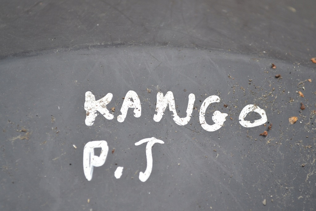 фото №3, Підкрилок правий задня renault kangoo ii