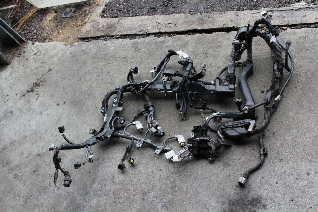 фото №14, Жгут электропроводка двигателя toyota verso 2.2 2ad 09r