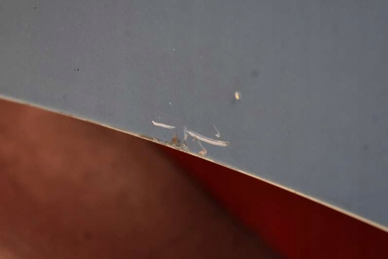 фото №6, Капот крышка двигателя голубой citroen c3 c 3 1 i 02-10