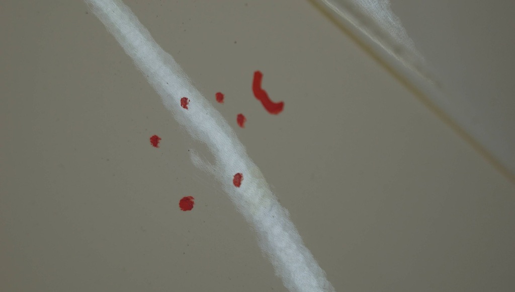 фото №10, Toyota aygo ii крыло правый перед b2933