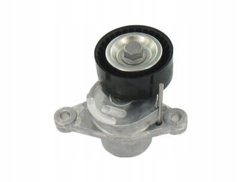 Skf vkm 33062 - ролик натяжна / citroen Недорого