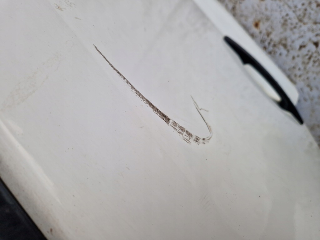 фото №7, Nissan nt500 nt 500 двері передні праве перед