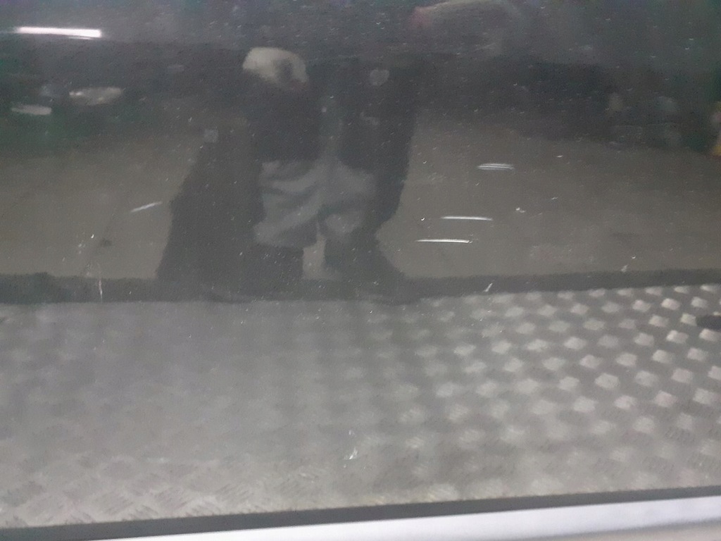 фото №3, Двері лівий задня renault scenic ii teb66