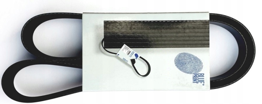 фото №9, Blue print ad04r1615 ремінь клиновий багатореберний