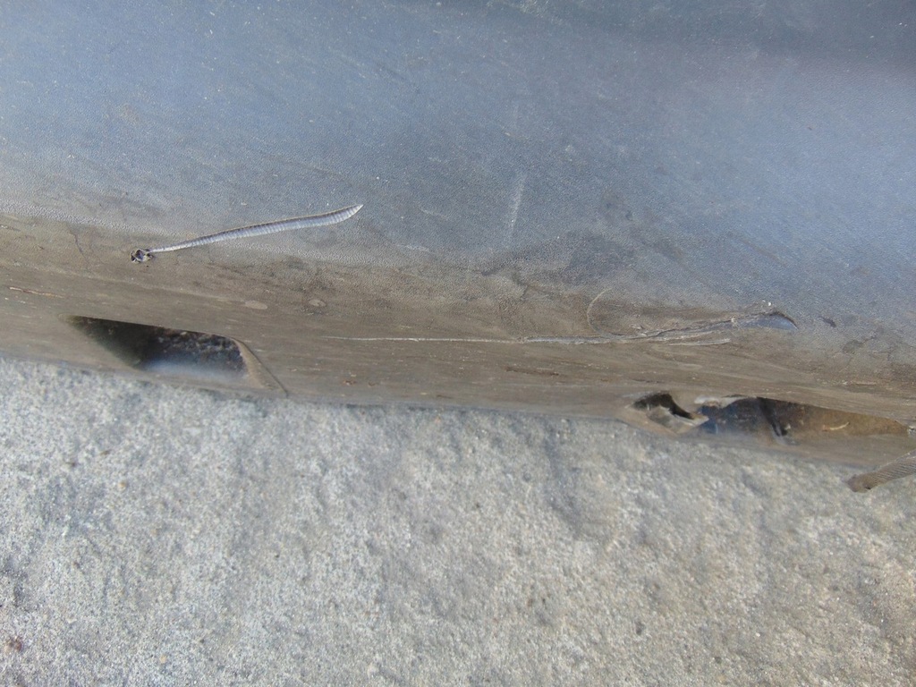 фото №8, Молдинг порог правая suzuki vitara iii 7723154p0