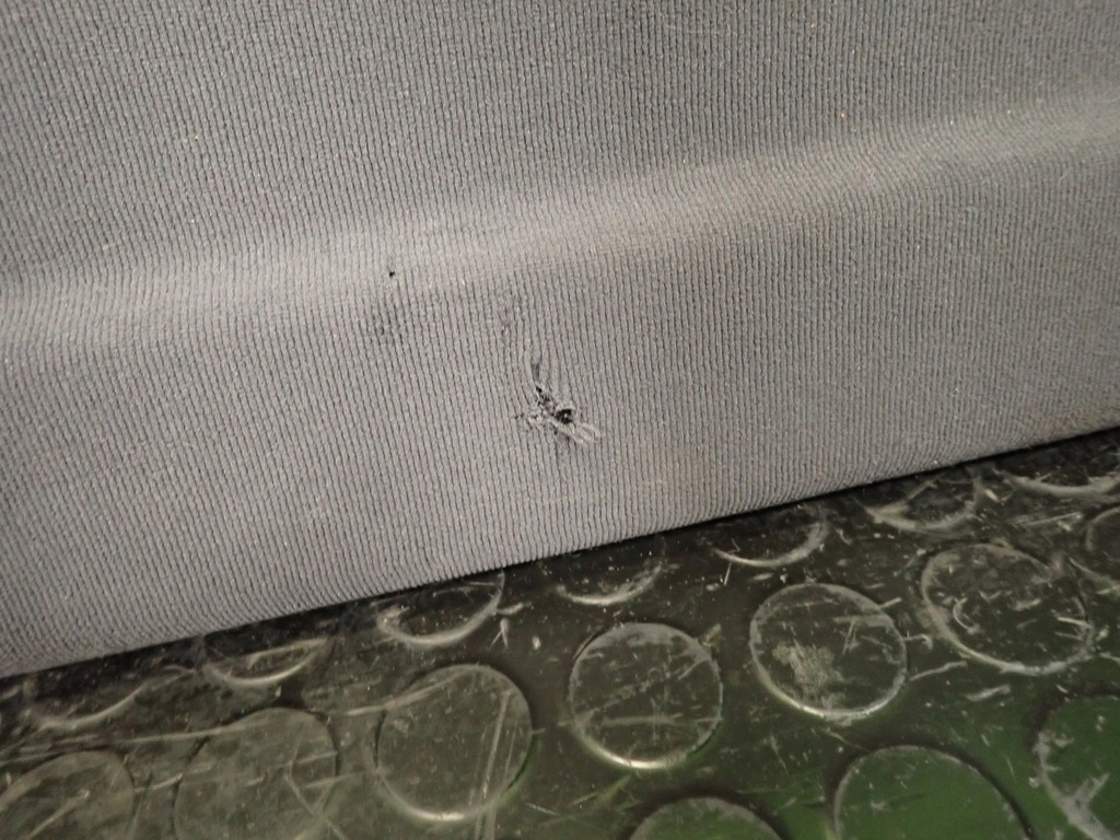 фото №8, Полка задняя audi a3 8p 03r