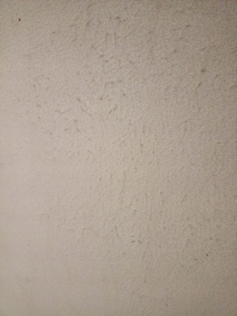 фото №3, Стеля ford s-max 06-2010