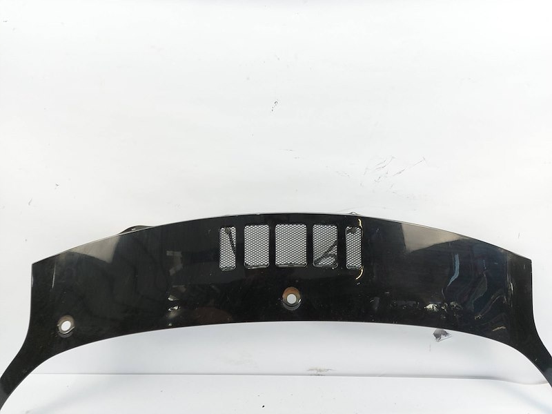 фото №6, Жабо крышка багажника решётка защита жабо fiat barchetta 183_ cabrio lak601