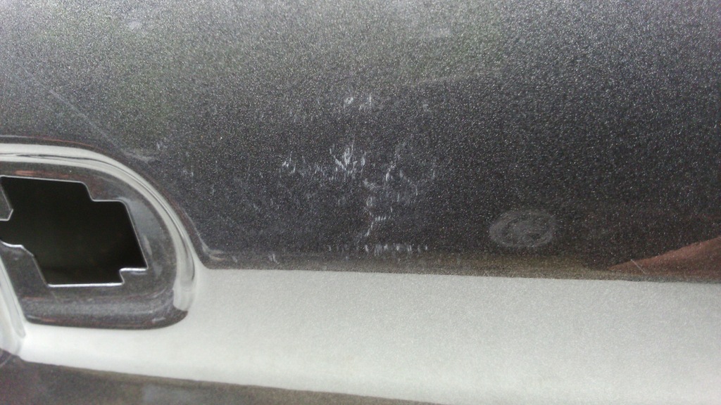 фото №14, Ford transit connect двері правий задня long 21r