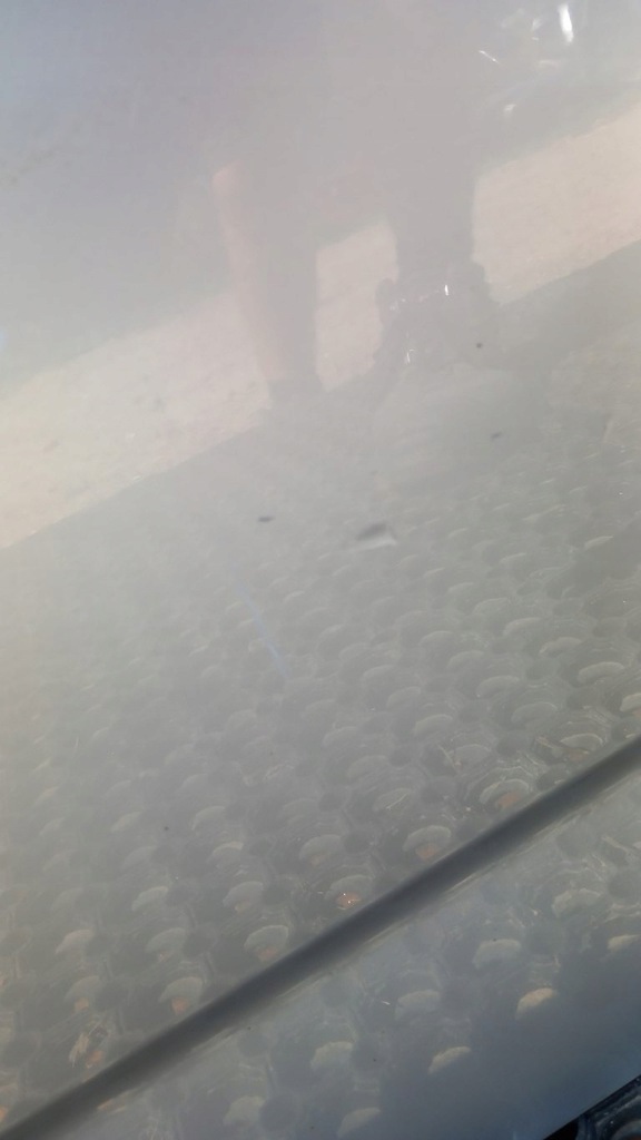 фото №12, Ford mondeo mk4 hb дверь задняя левый 66