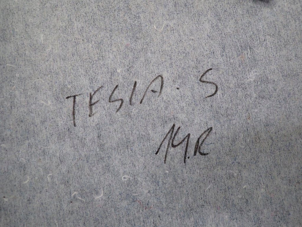 фото №10, Потолок потолок оригинал tesla s 14r