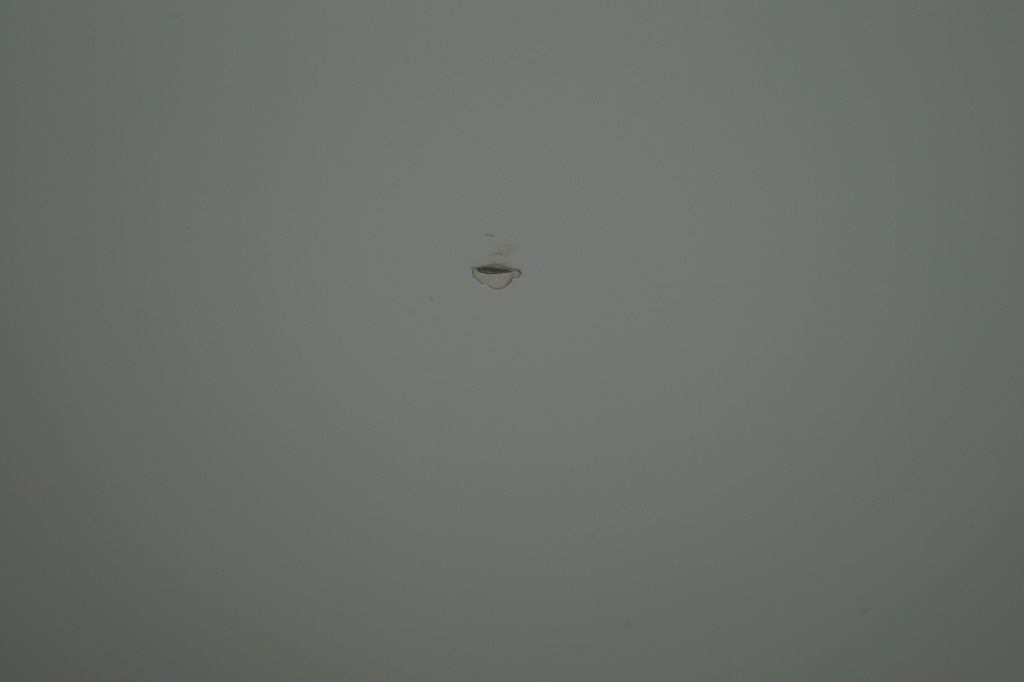 фото №8, Двері ліва лівий перед audi r8 420 ly9c org lak