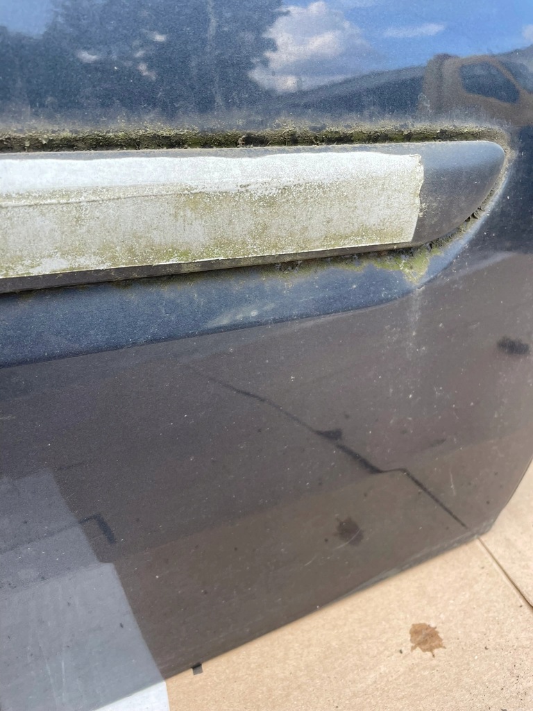 фото №9, Двері правий перед renault laguna iii 3 teb66 org