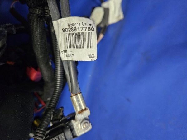 фото №12, Электропроводка провода двигателя jumpy iii expert iii proace ii 1.5 bluehdi