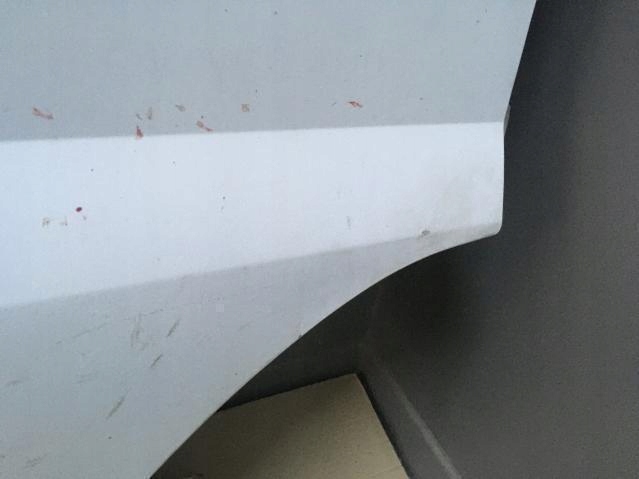 фото №8, Двері правий перед ford transit 06-12 повний