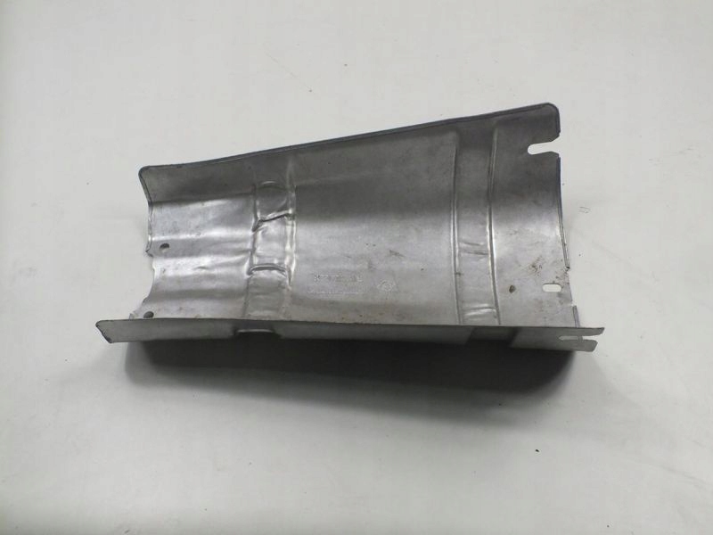 фото №5, Kangoo i захист теплова oryg