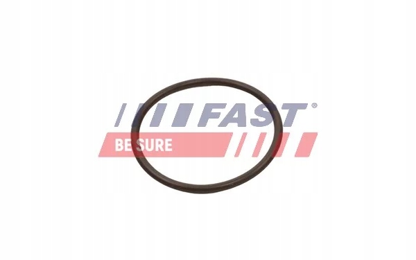 фото №2, Ущільнювальне кільце інтеркулер - fast ft49933