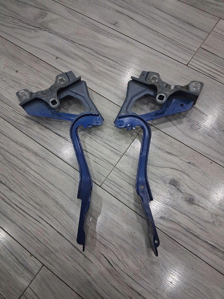 фото №1, Петлі капот комплект renault clio v 654006494r 654010808r
