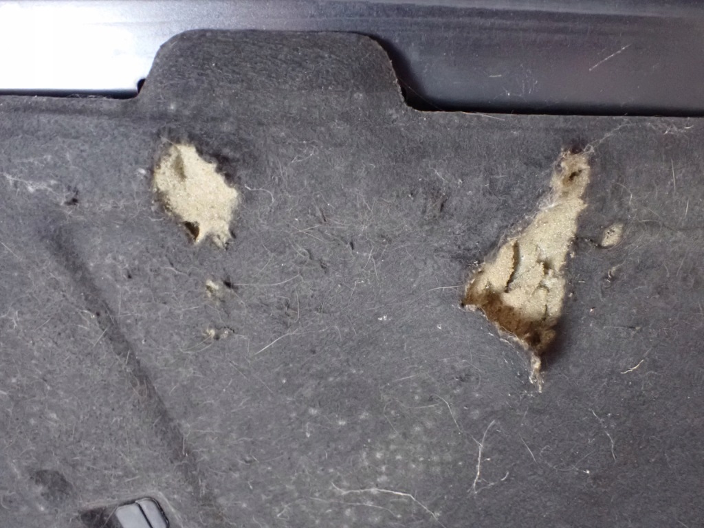 Капот audi a4 b8 avant 2008r 3.0 tdi европа  l8l8 lz9y 10361 в Украине