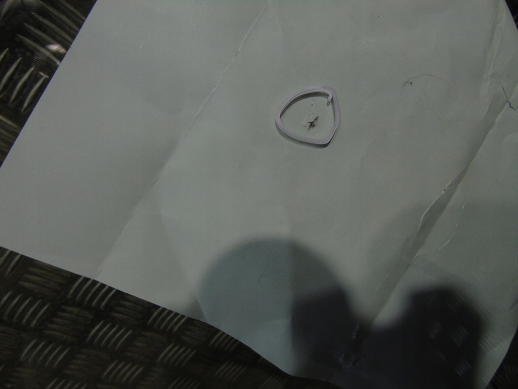 фото №5, Скло передня porsche cayenne 7p5 przeciwszumna 1