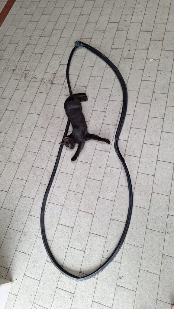 фото №1, Прокладка дверь перед правый navara iv d23 np300