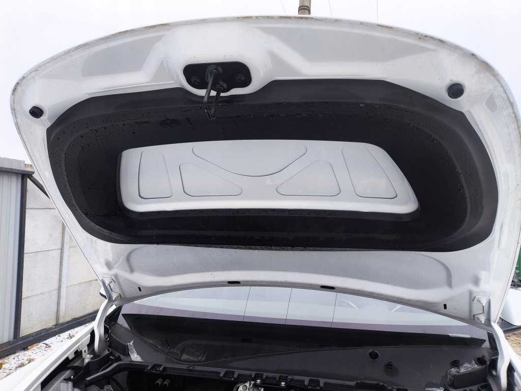 Tesla model y ppsw капот крышка двигателя с Разборки