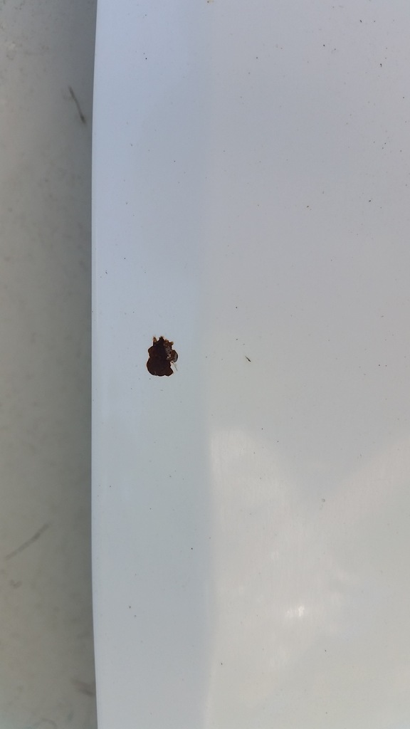 фото №8, Капот перед ford s-max 06-09r b6